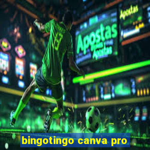 bingotingo canva pro